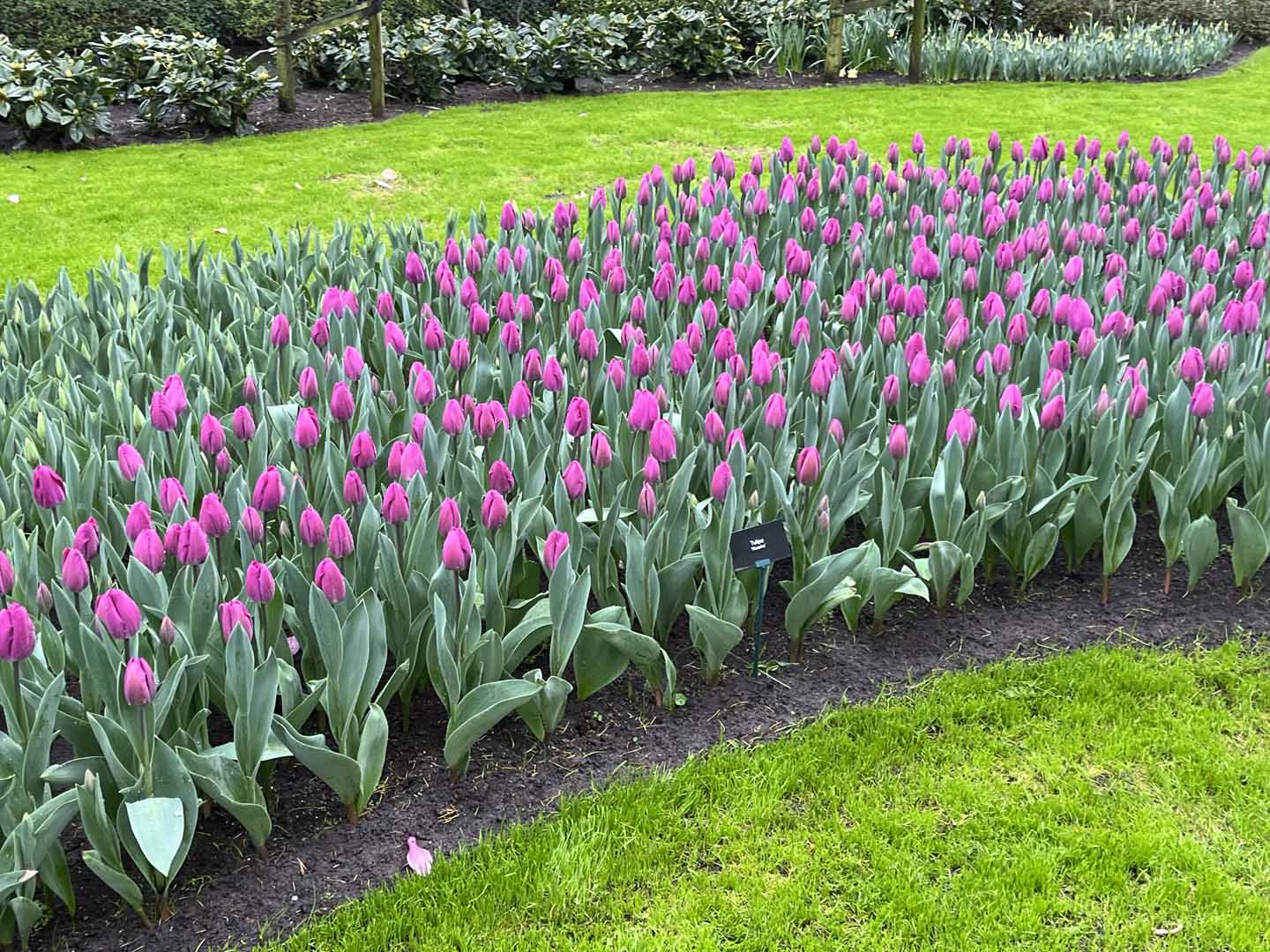 Travel Fair 2024 Slideshow